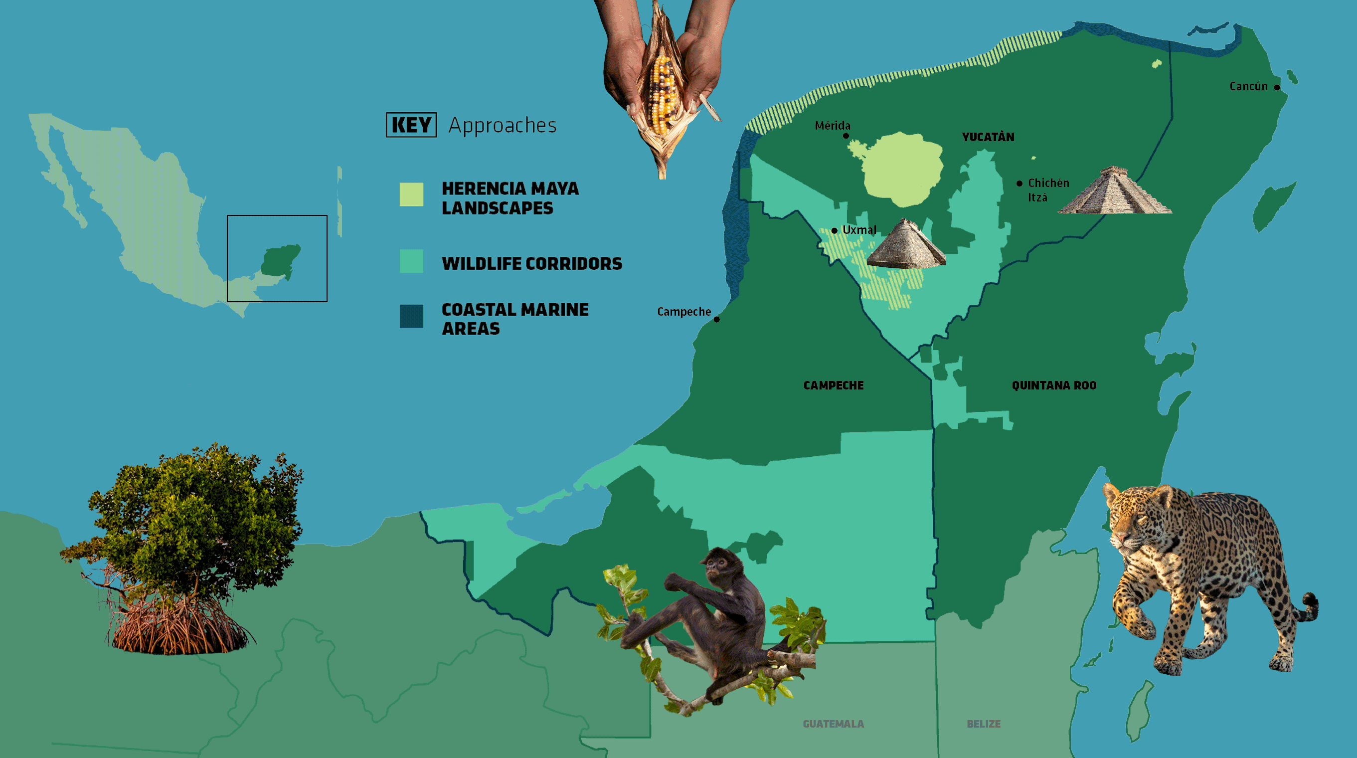 Map of the Yucatan peninsula with conservation areas
