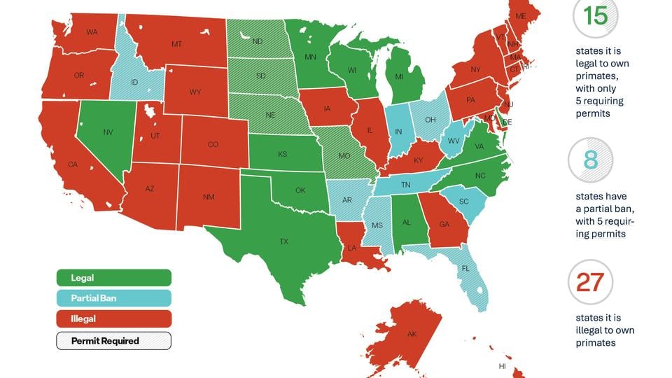 A map of the United States with states marked as having a full primate ban, a partial ban, or no ban at all