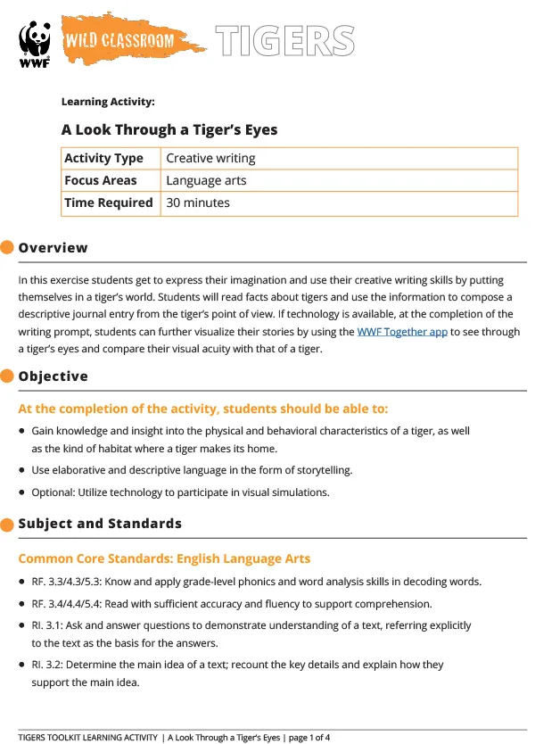 Look Through Tiger's Eyes preview