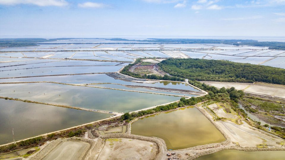 An aerial view of a coastal area that has been cleared of mangroves to host shrimp farming.