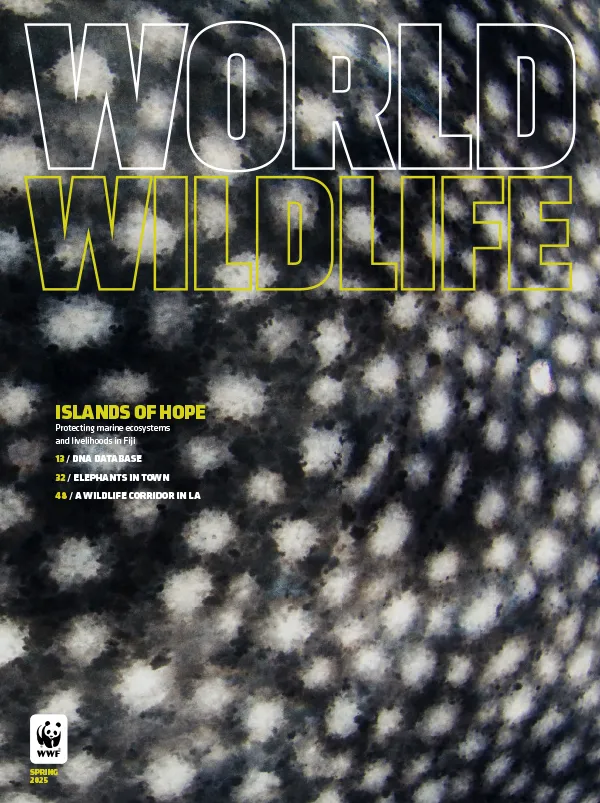 The cover of the Spring 2025 issue of World Wildlife magazine