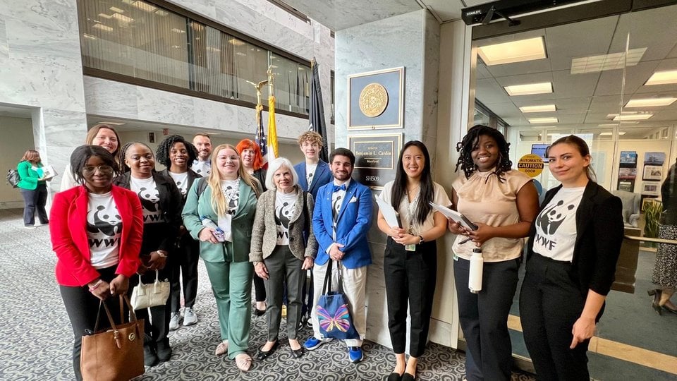 A group of 13 WWF Panda Ambassadors, dressed in shirts with the WWF logo, gathered in the halls of the us congress.