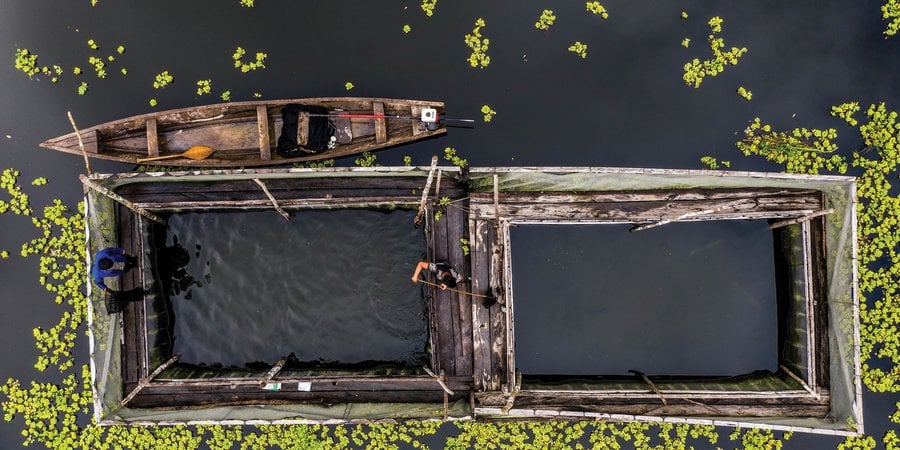 Aerial photo of fish farming cages