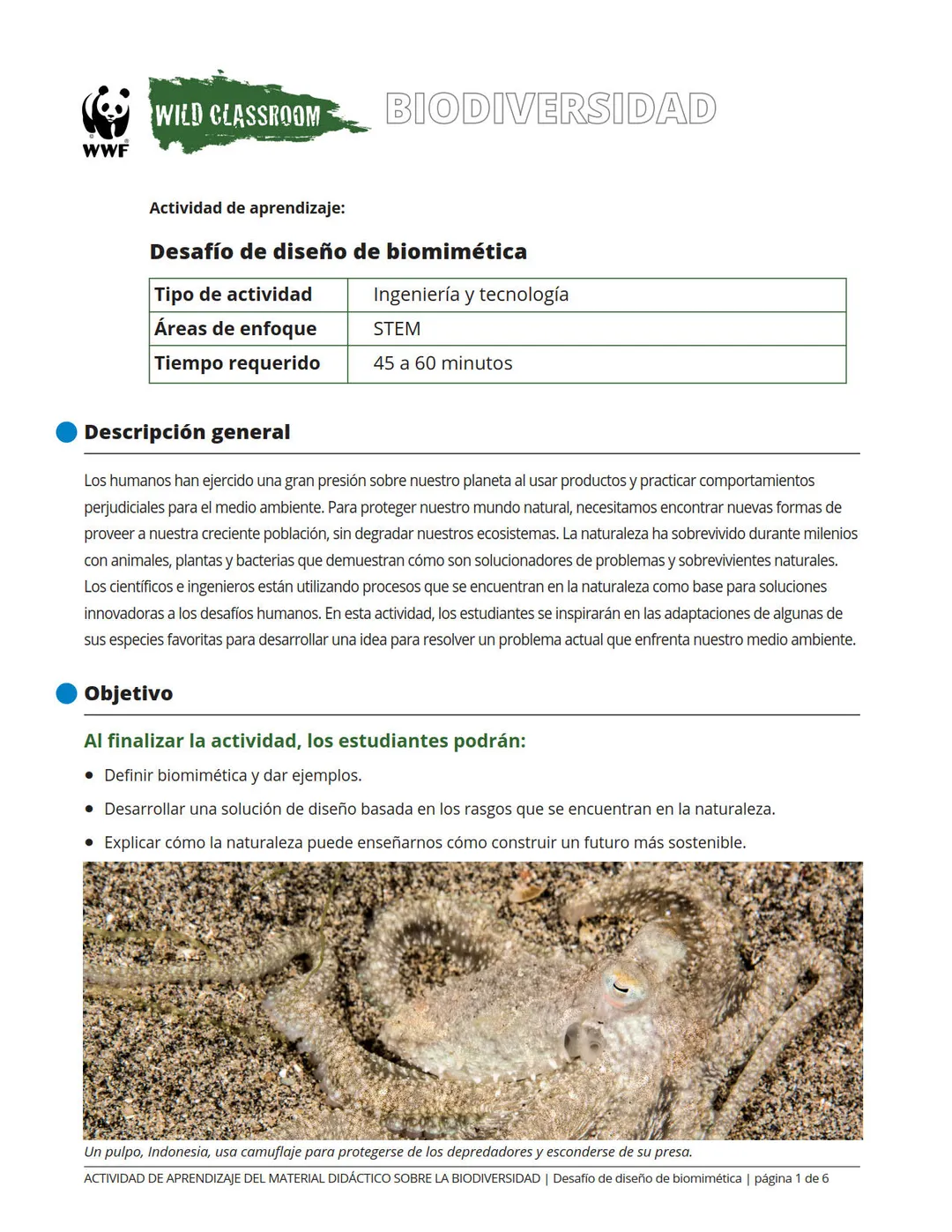 Desafío de diseño de biomimética