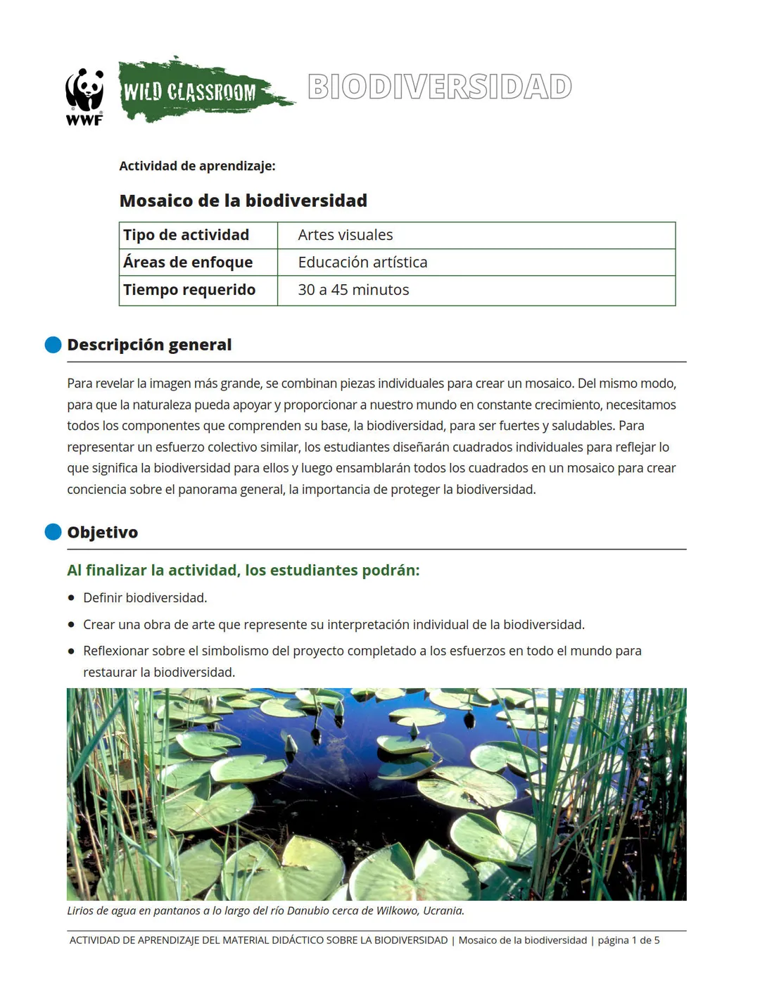Mosaico de la biodiversidad
