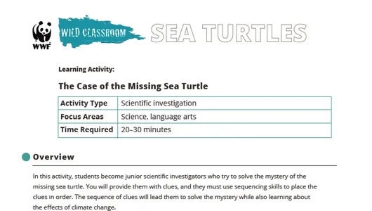 A preview of the first page of the sea turtle activity kit