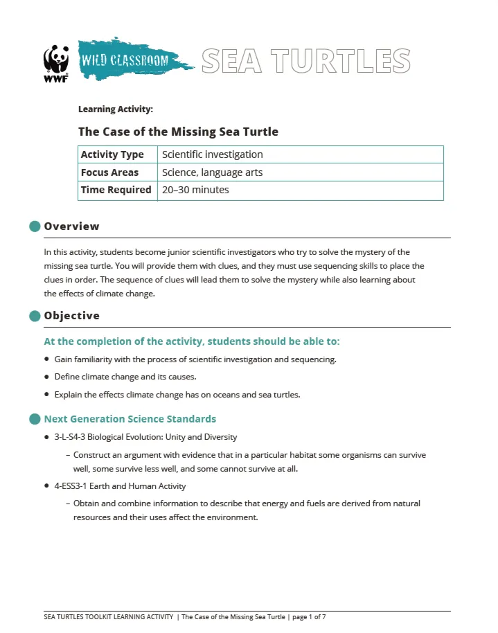 A preview of the first page of the sea turtle activity kit