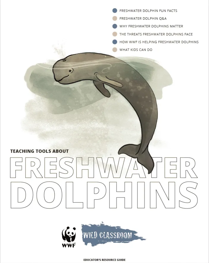Full Freshwater Dolphin Toolkit Cover