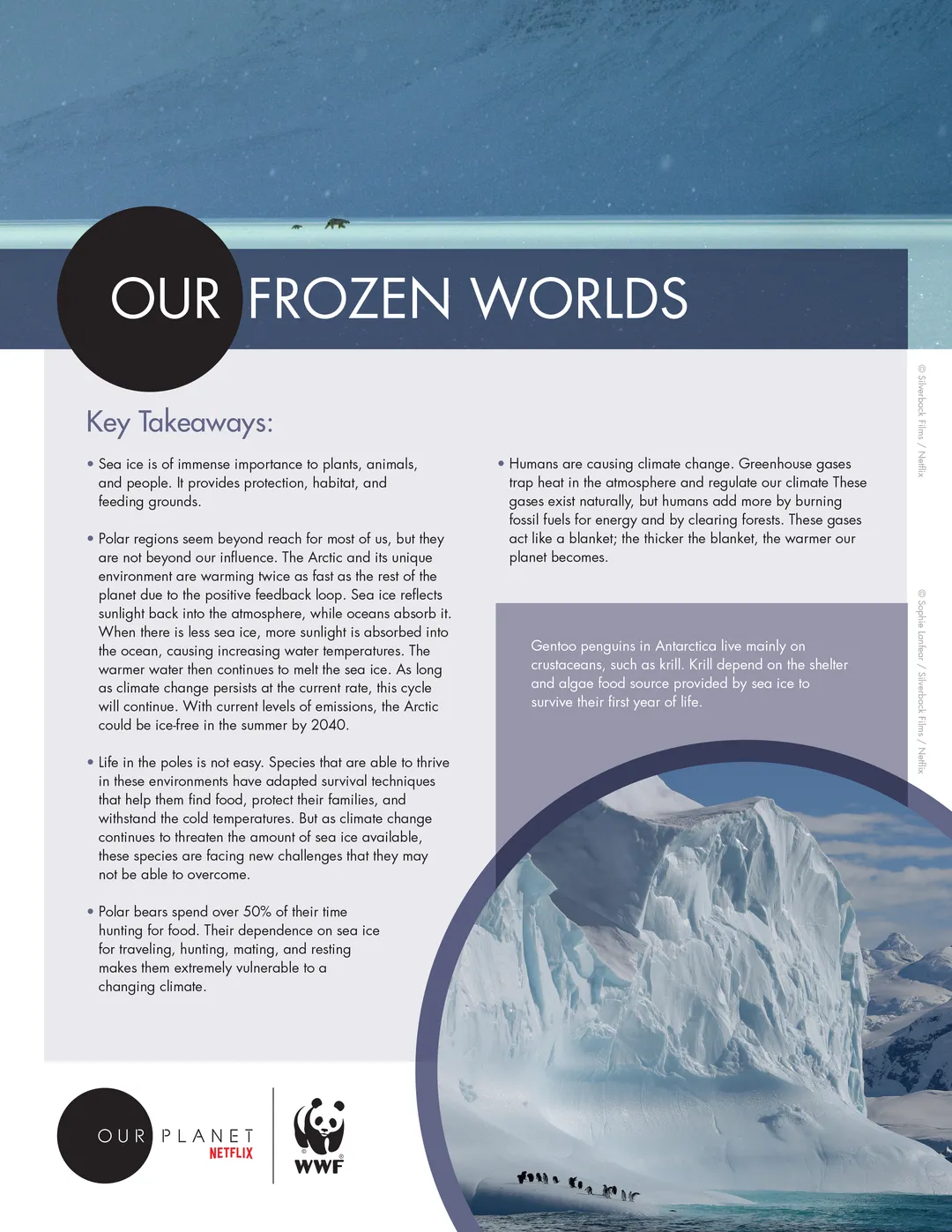 A page of the Our Planet Our Frozen Worlds Educators Resource Guide