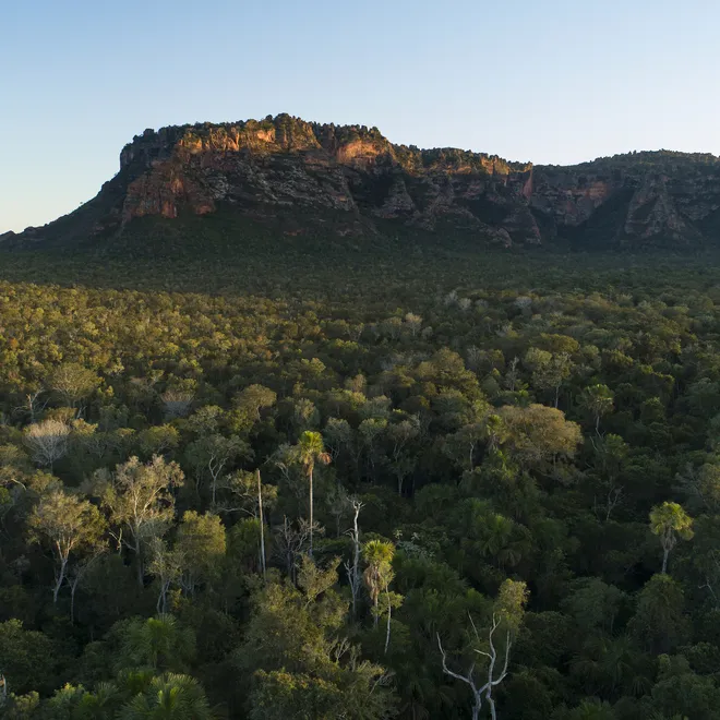 A mountain rises in the distance with savanna in the foreground