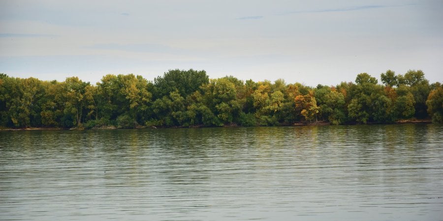 Shore of Danube River