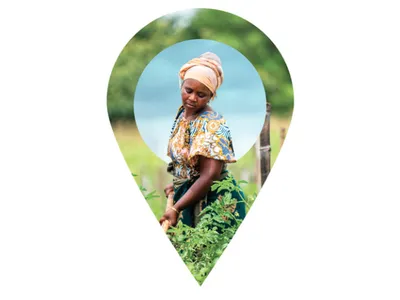 A Black woman wearing a patterned top and yellow head scarf holds a tool with both hands and gardens.