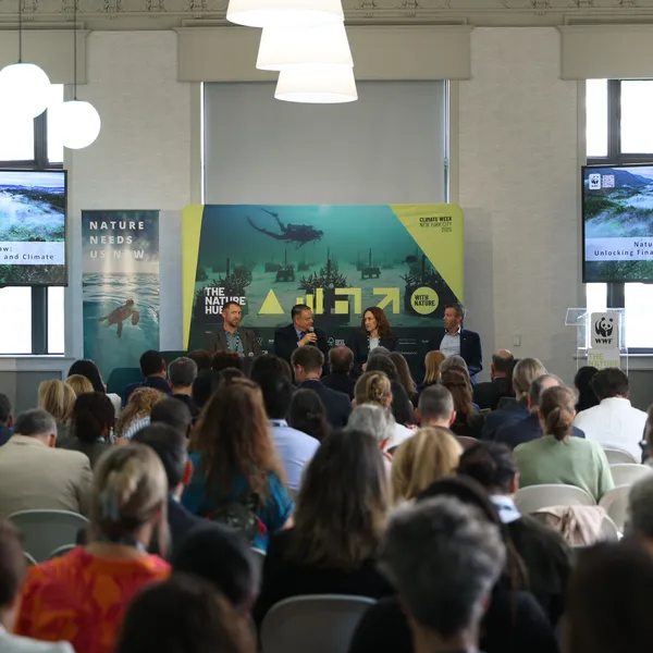 An audience listens to a panel at Climate Week 2025