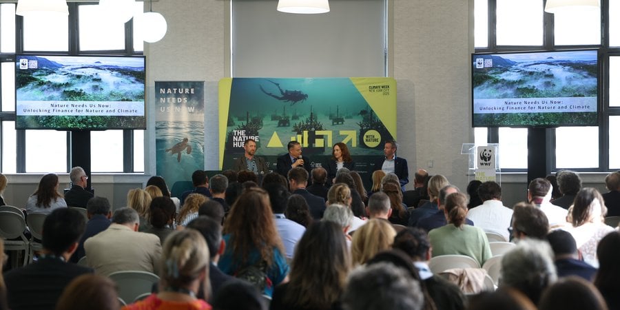An audience listens to a panel at Climate Week 2025
