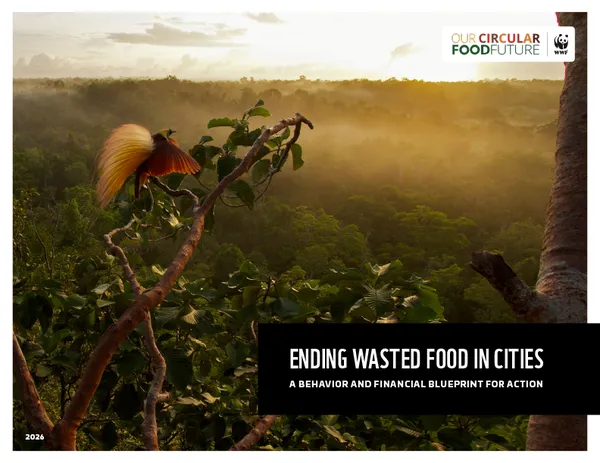 Report cover for 2026 FLW Papua Global Case Study
