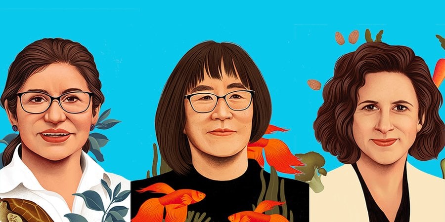 Illustrations of women