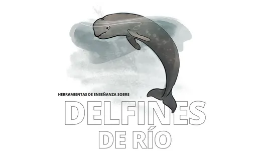 Herramientas Completas sobre los Delfines de Río