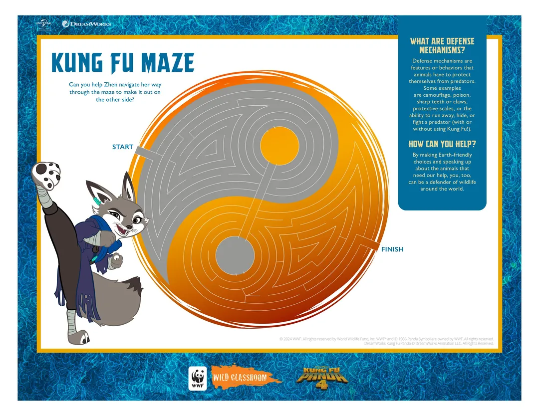 Kung Fu Panda Maze