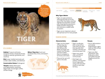 Tiger Species Card Preview