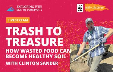 Composting livestream