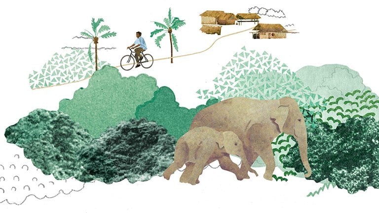 Illustration of elephants and person on bike in village