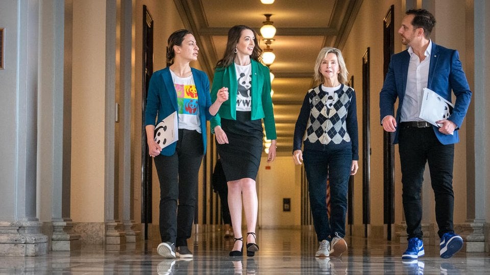 A group of people walking in a hallway in a government building wearing WWF logo shirts and folders.