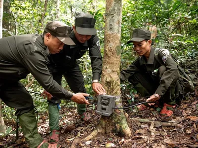 Forest guards setting up camera traps_Central Annamites_WW1304281