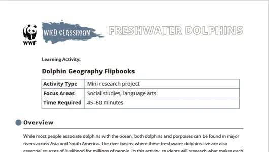 The first page of the "Dolphin Geography Flipbooks" activity