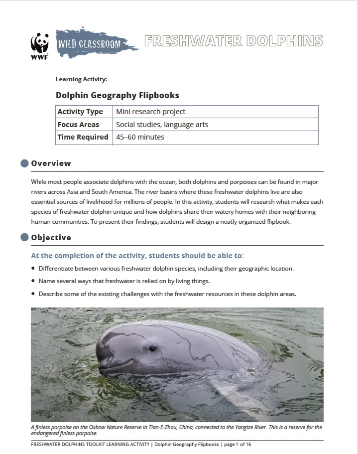 The first page of the "Dolphin Geography Flipbooks" activity