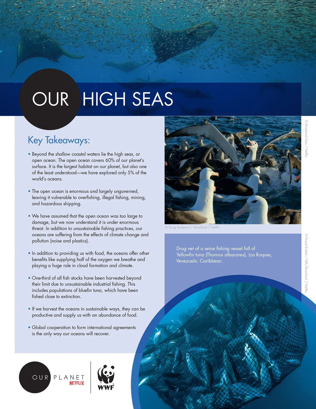 A preview of one page of the Our High Seas educators resource guide