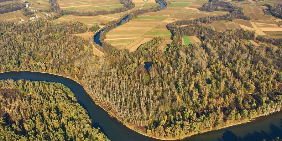 Winding river from above