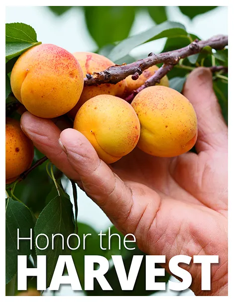 Honor The Harvest Poster