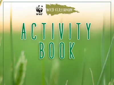 Grasslands and Pollinators Activity Book