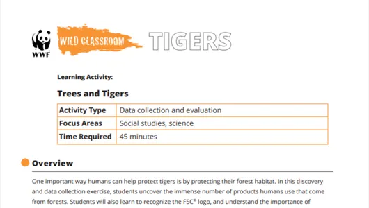 Trees and Tigers preview