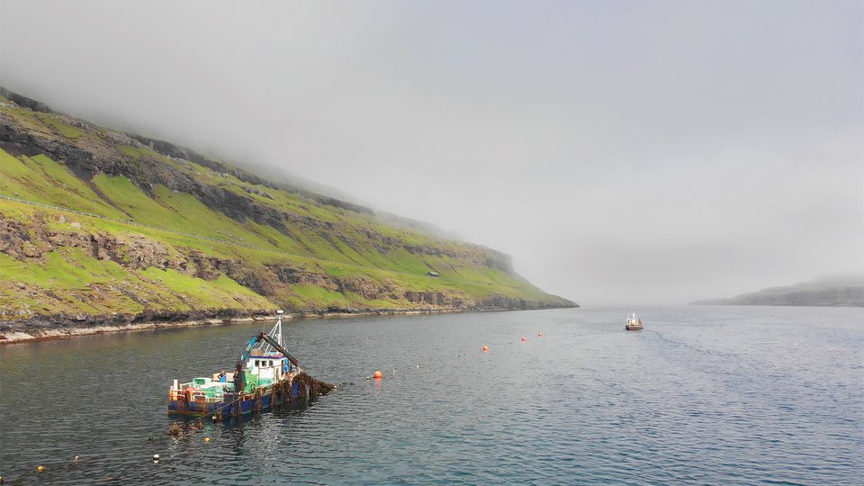 Harvesting ships in island channel