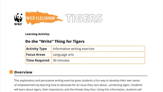 Creative writing