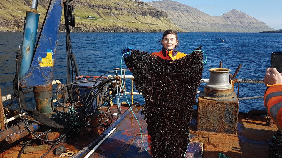 Scientist on ship holds up net