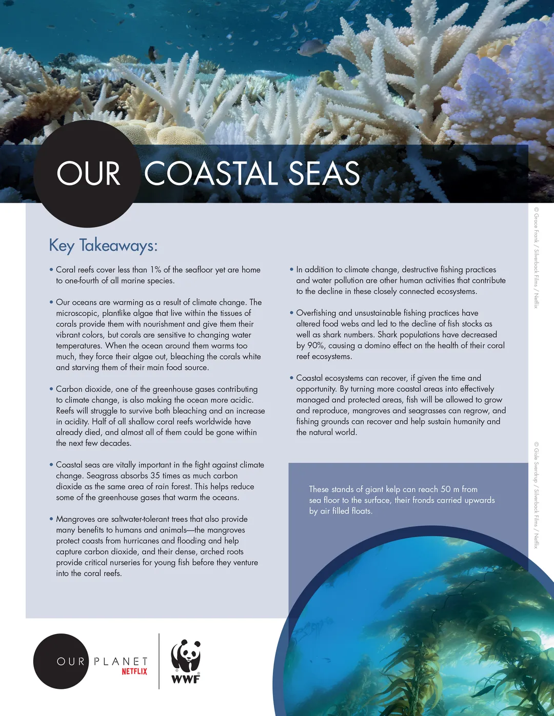 A page from the Our Planet Our Coastal Seas Educators Resource Guide
