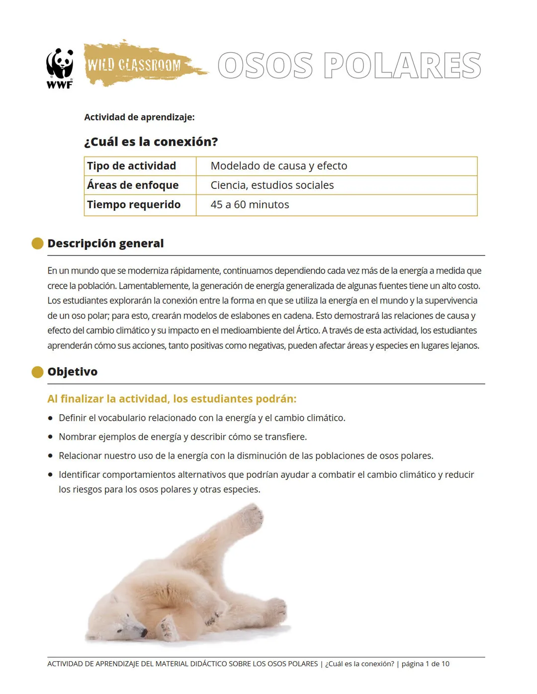 ¿Cuál es la conexión?