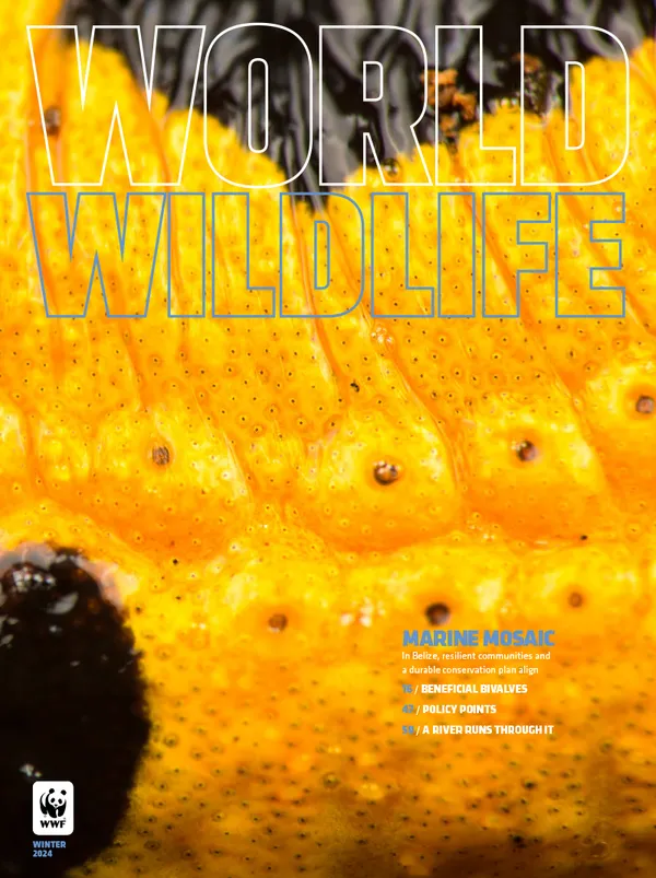 The cover of the Winter 2024 issue of World Wildlife magazine