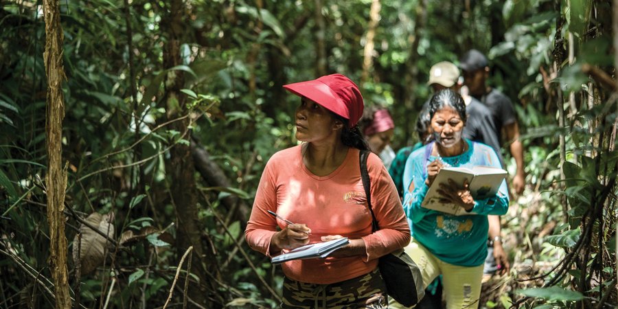 Women walking through forest