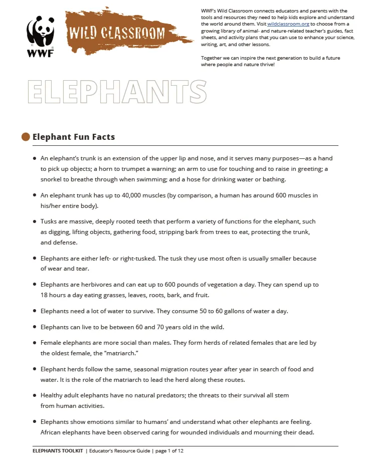 A preview of the first page of the elephant resource guide