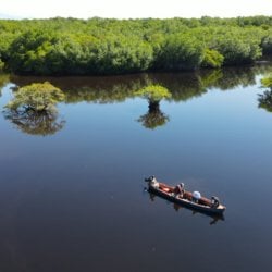 A lake in an area with thick vegetation, with a fishing boat