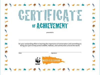 Certificate of Achievement