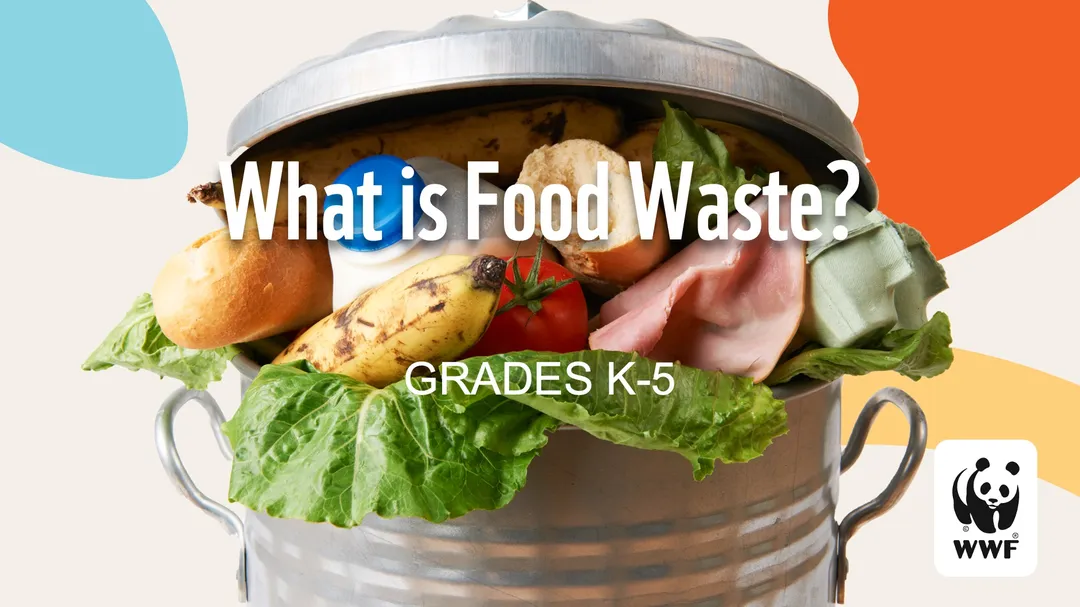 Food Waste Warriors K-5 Slideshow