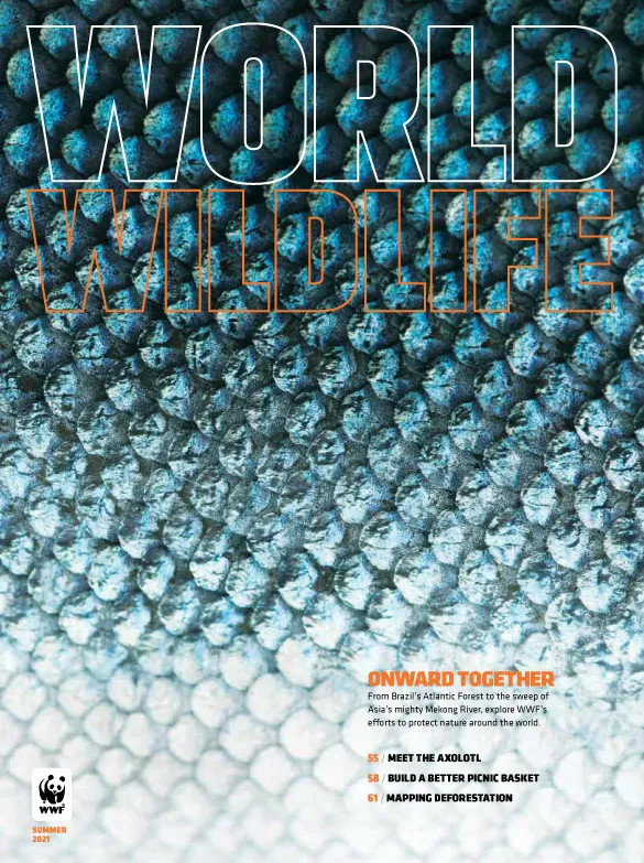 WWF Magazine Summer 2021
