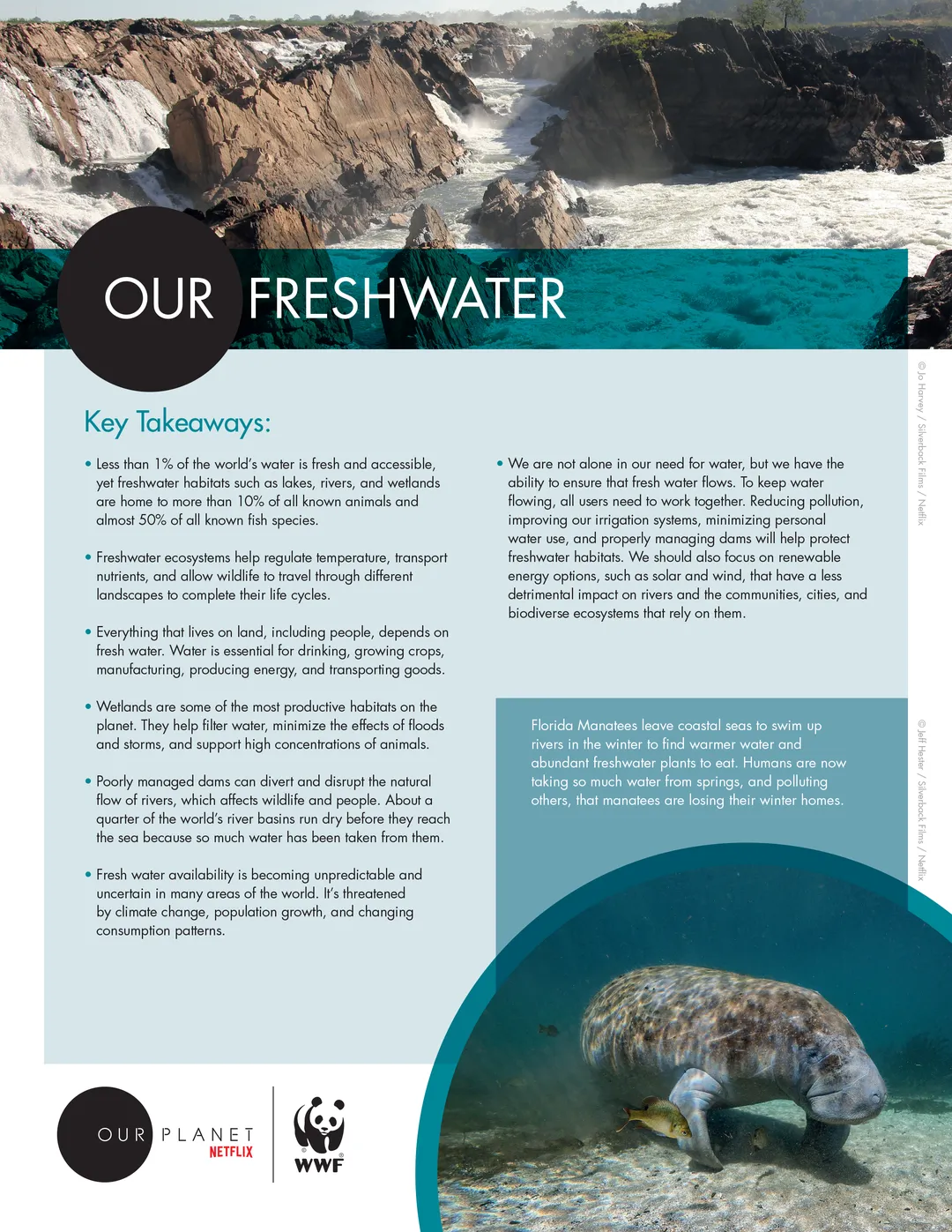 A preview page of the Our Planet Our High Seas Educators Resource Guide