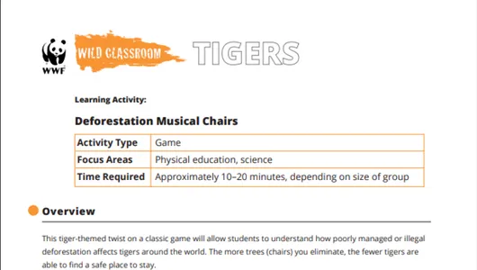 Deforestation Musical Chairs