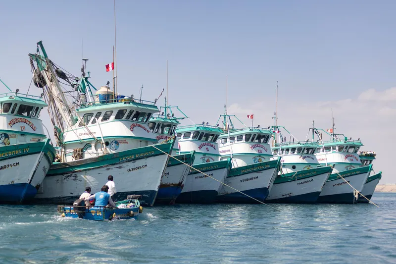 A small motor boat with fishermen approach a fleet of artisanal paita fishing boats
