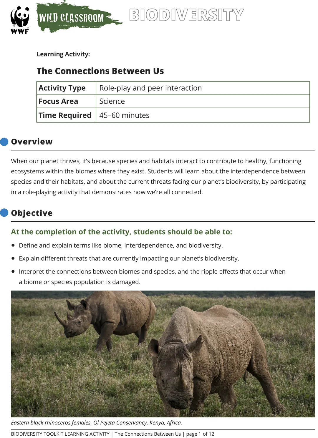 A preview of the The Connections Between Us science activity